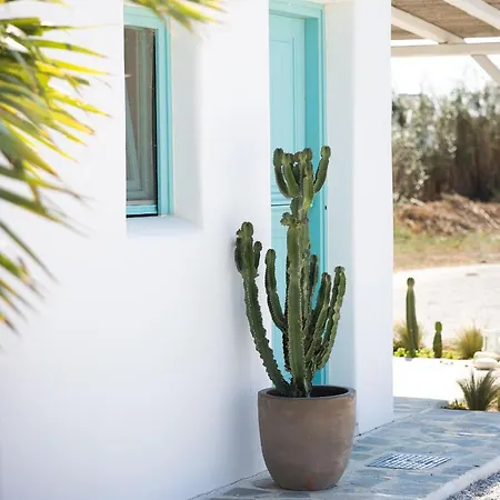 Apartment Ploes Seaside *