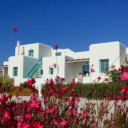Apartment Ploes Seaside Plaka (Naxos)