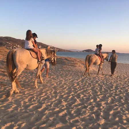 아파트 Ploes Seaside *