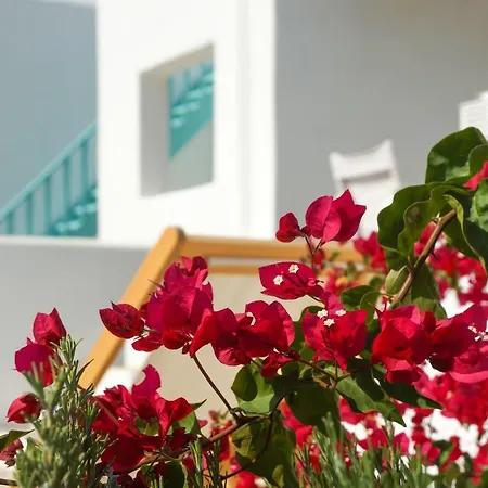 Ploes Seaside Apartamento *